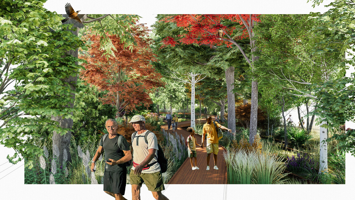 Block 5 passive landscape view